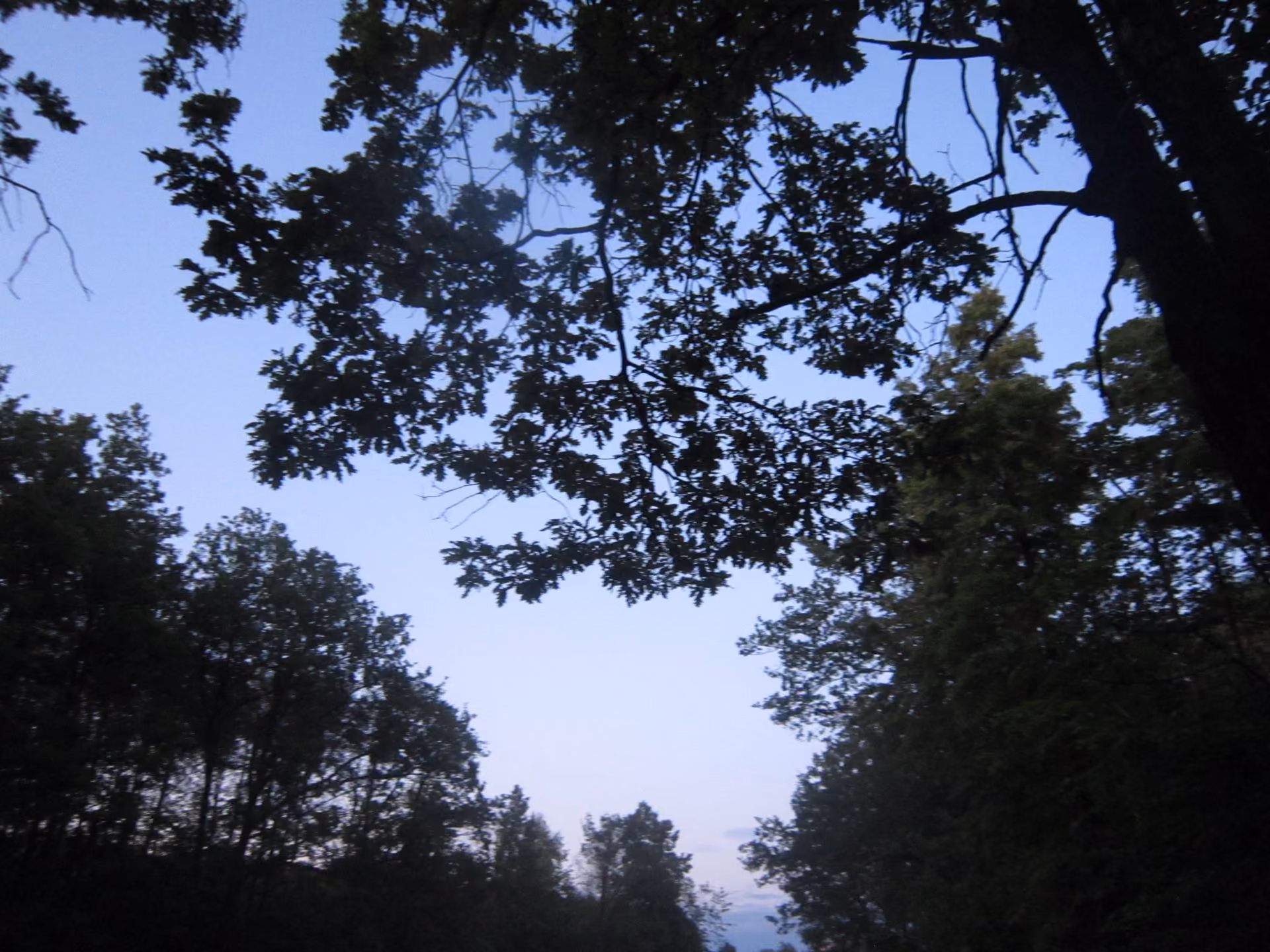 accde243c1bb53c97f951bf049cd3e29.jpg