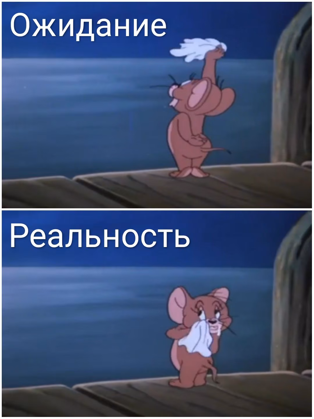 acd17ccdfc11e21f8b742a551fd4749e.jpg