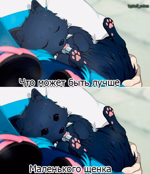 ace1c28c2063449f477af1930073efb4.jpg