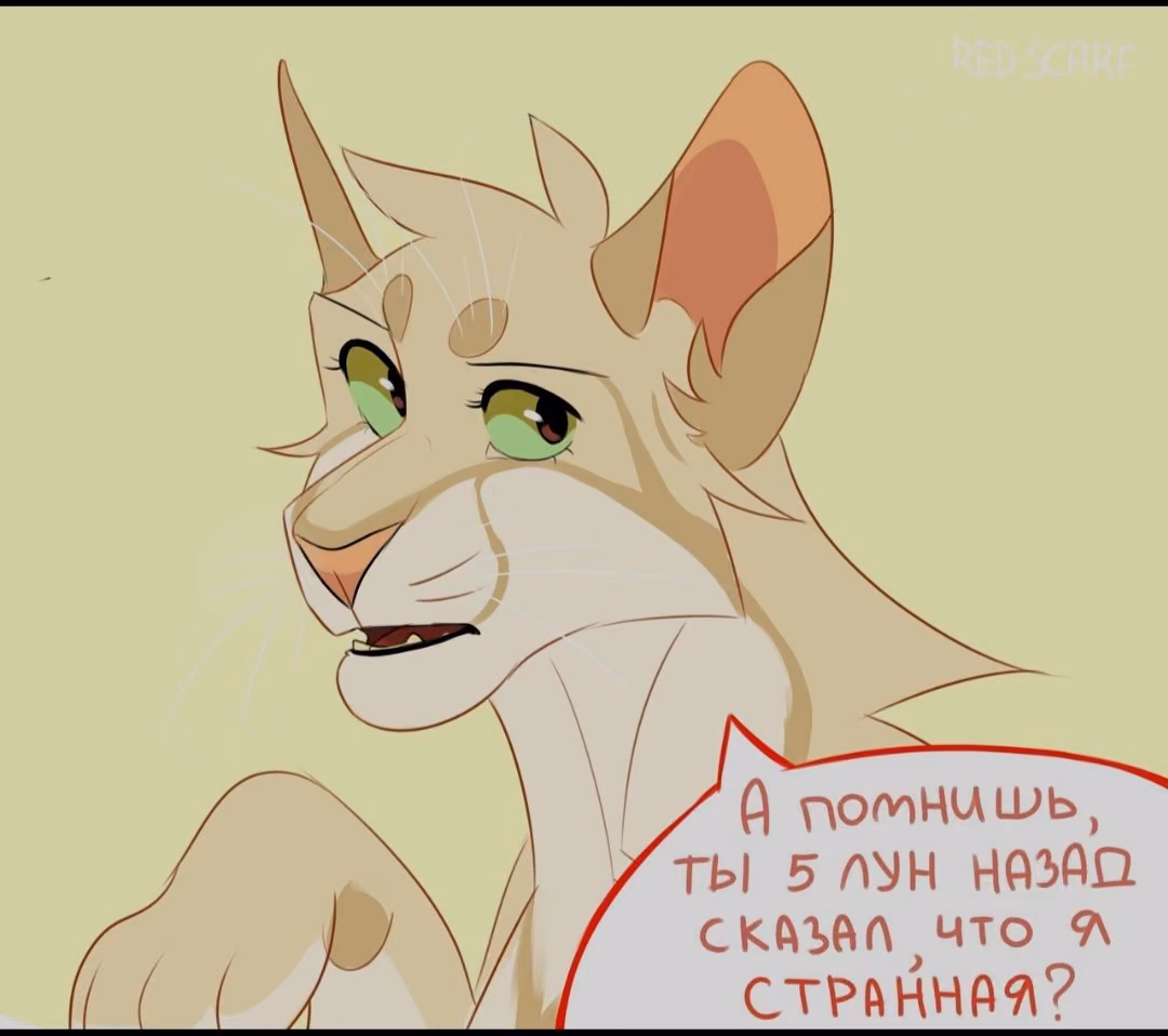 acf5733a3f6fe53ea25dcf80c06f0bbd.avif