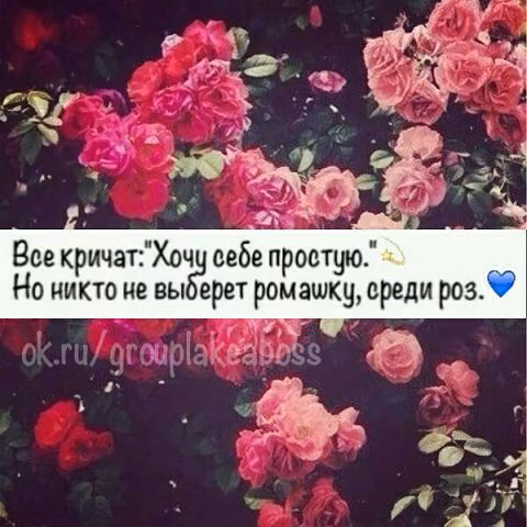 acfa89766a0438a63326f49e7f8ceaab.jpg