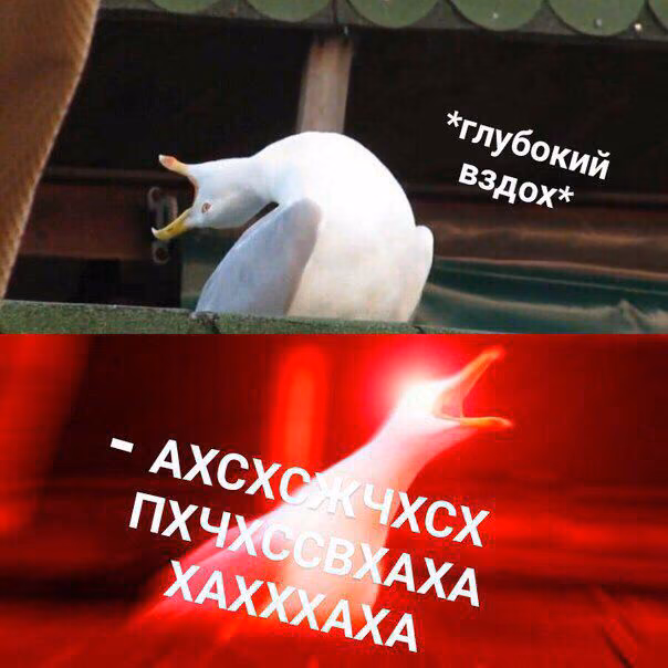 ad1b3c91834754e073410888d8ed79e5.jpg