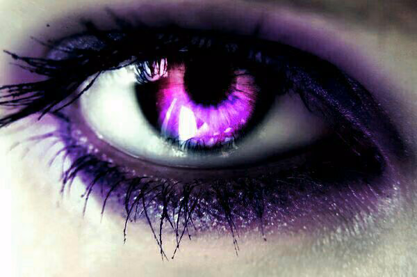 ad2bc6c8273d3c73252ef484f63d726f.avif