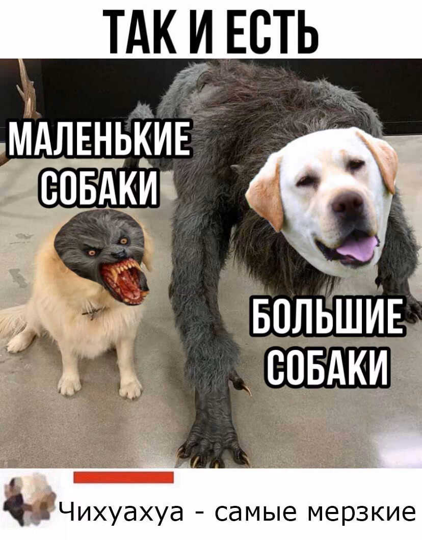 ad30929b1fc24e7afb78a9c5574f85fb.jpg
