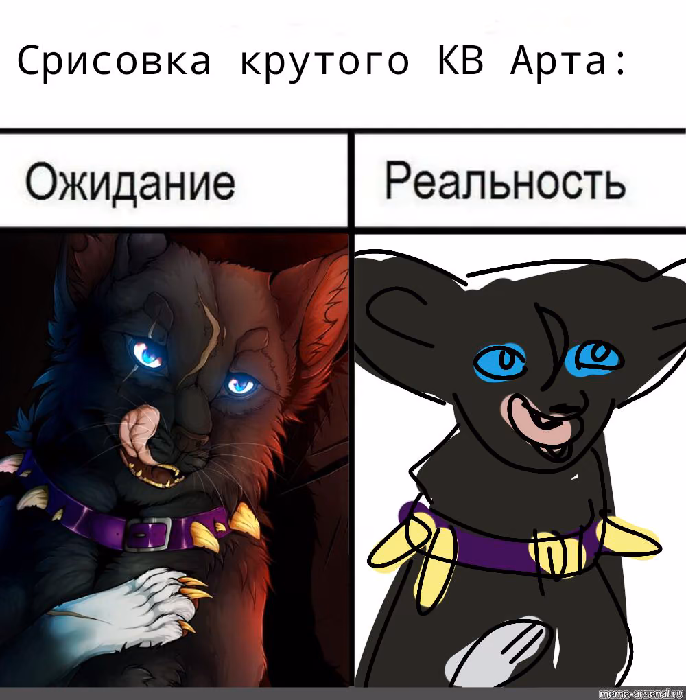 ad379344d66ef3dce4989d6a91daf98b.avif