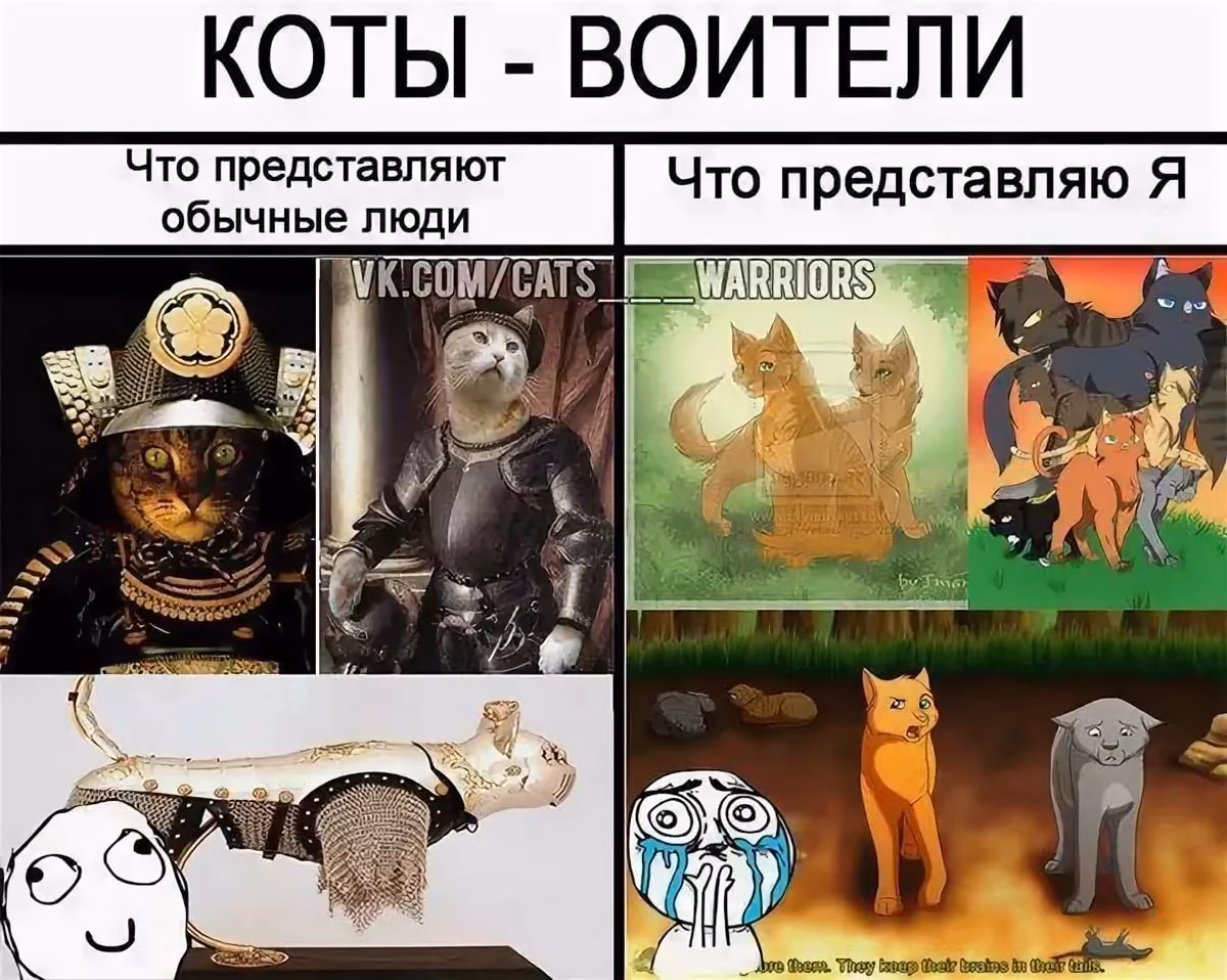 ad43f99e80df1ae44b220a477c8866c2.avif