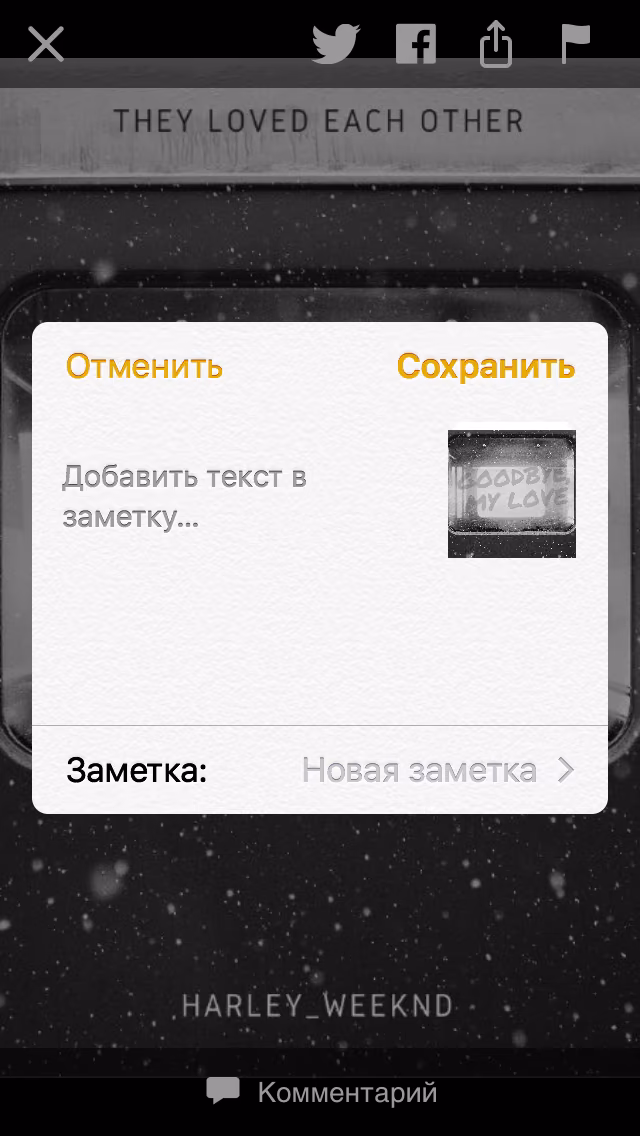 ad4c5aa62c53ca0d162599ff3444662f.jpg
