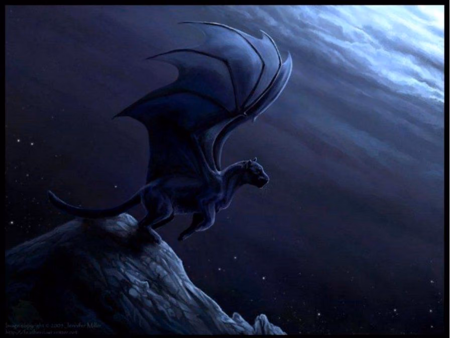 ad547ce2a382e54cf85c5489d2accd3c.avif
