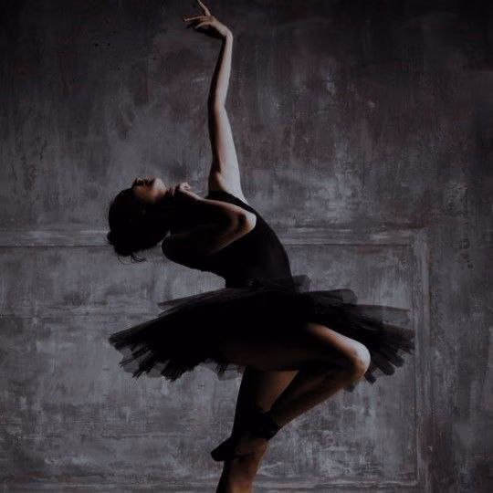 ad57b21c48b40330b95610a4d5bf47f3.avif