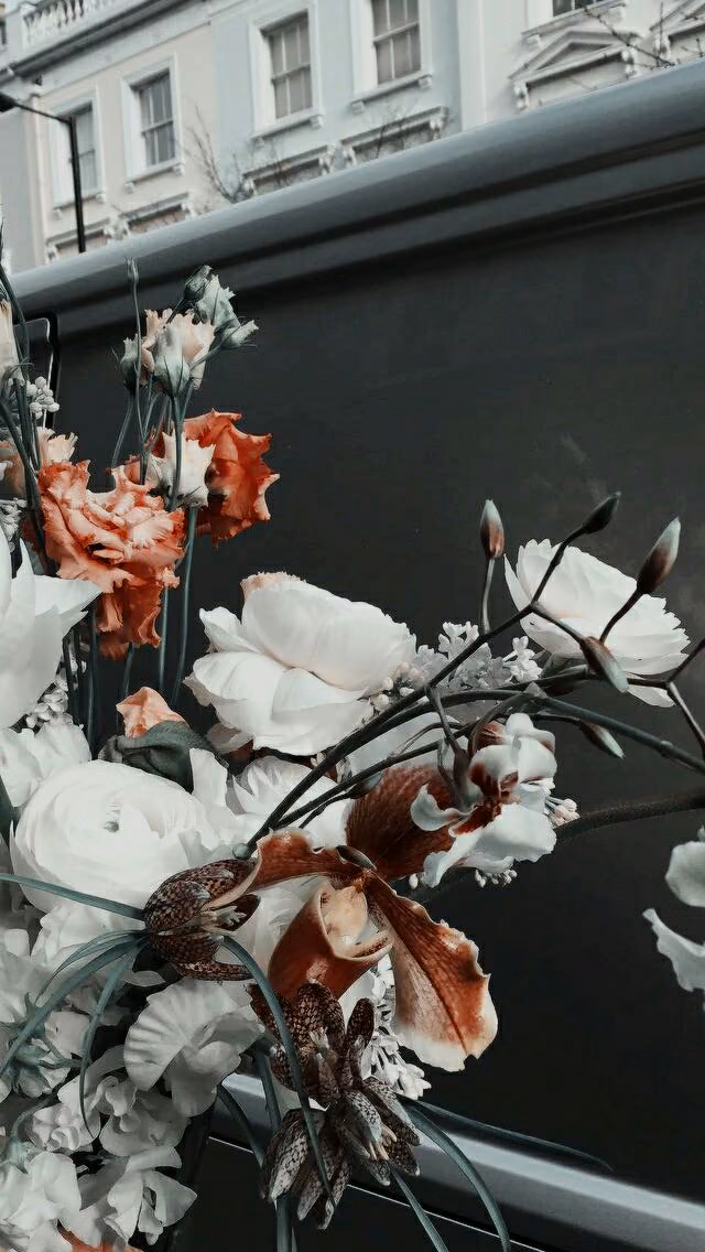 ad689c3bf76f93fd36ceaac4e4bdcb5b.avif