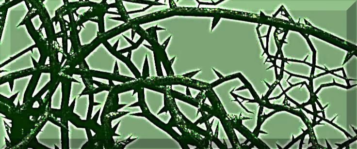 3c82903e1640be40373eb6ce6474fde0.jpg