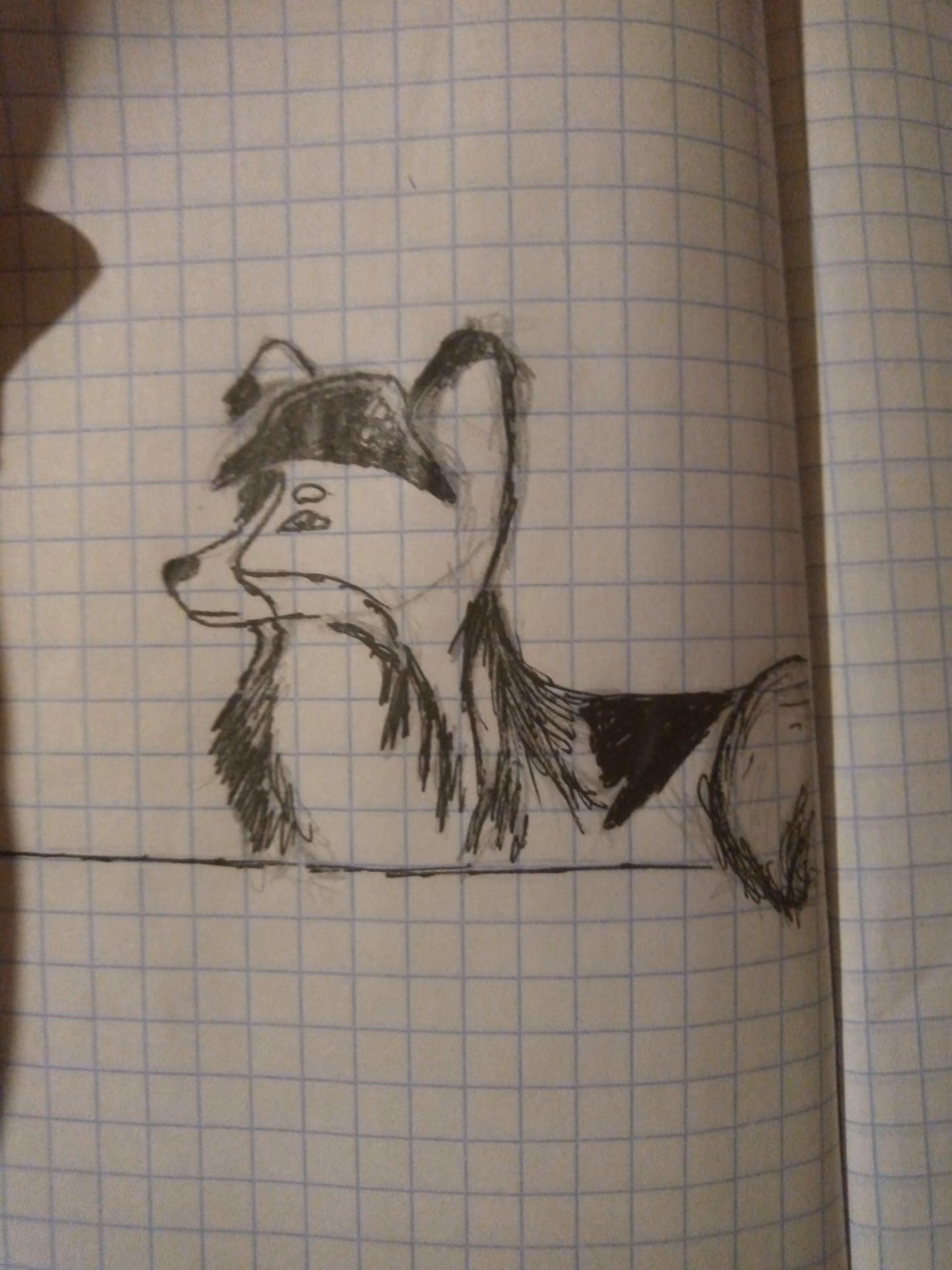 ad6e93378b66e3af97a64b3db751426e.jpg