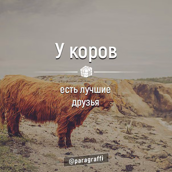 ad7b0dc332b0657c24d462350b3fede6.avif