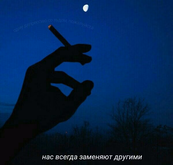 ad7e955ba3b0ed1808fe3239603a180f.jpg