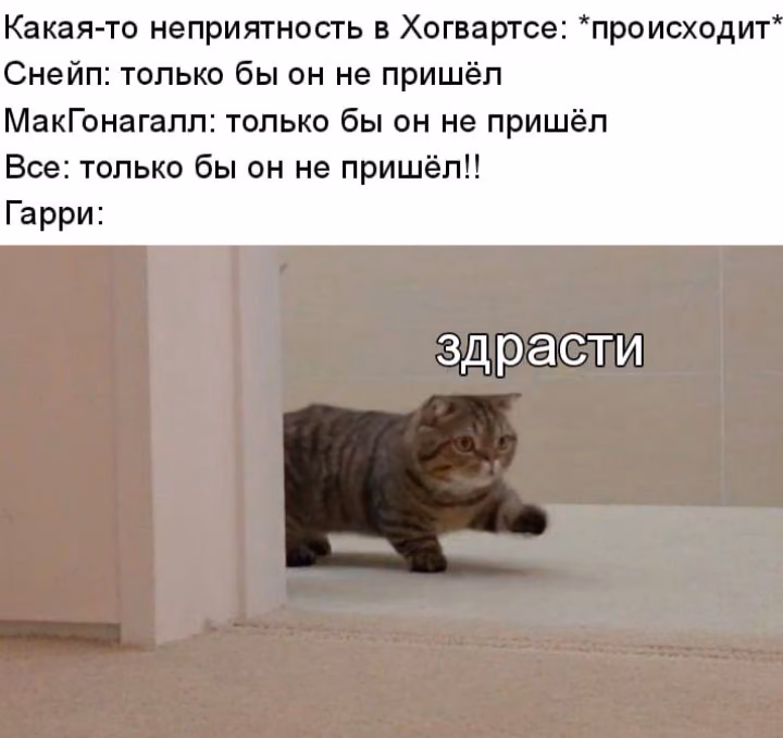ad7eb2b033164820c07978dfe14424c3.avif