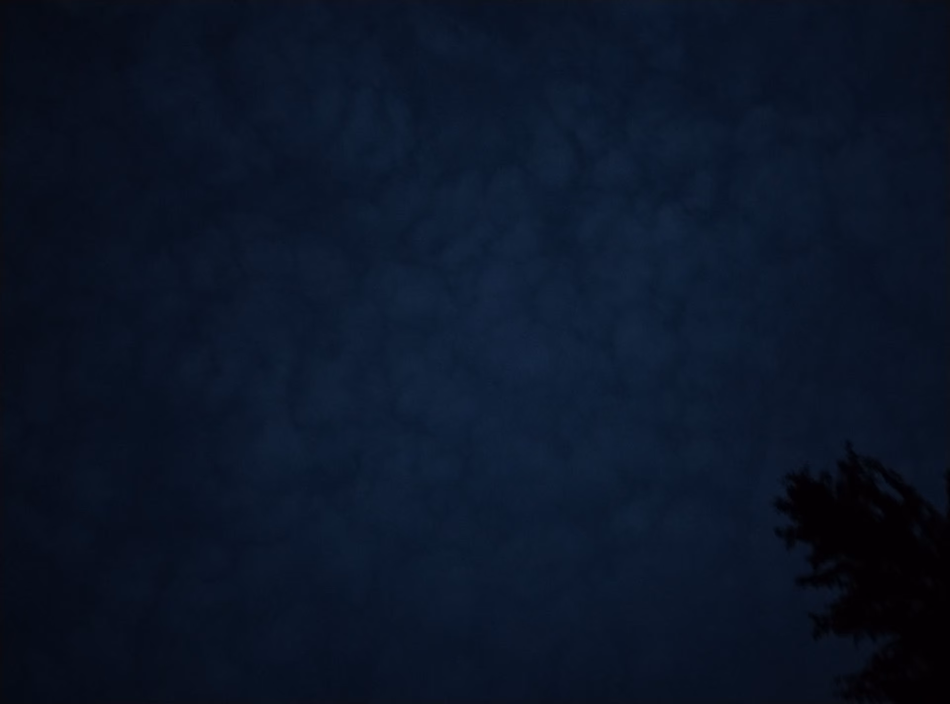 ad7fa245089d6165056920ed00b0b3fd.jpg