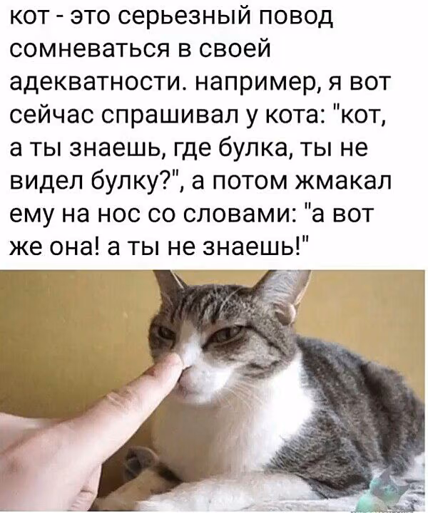 ad89f26645dc76de958c559ad753c3ad.avif