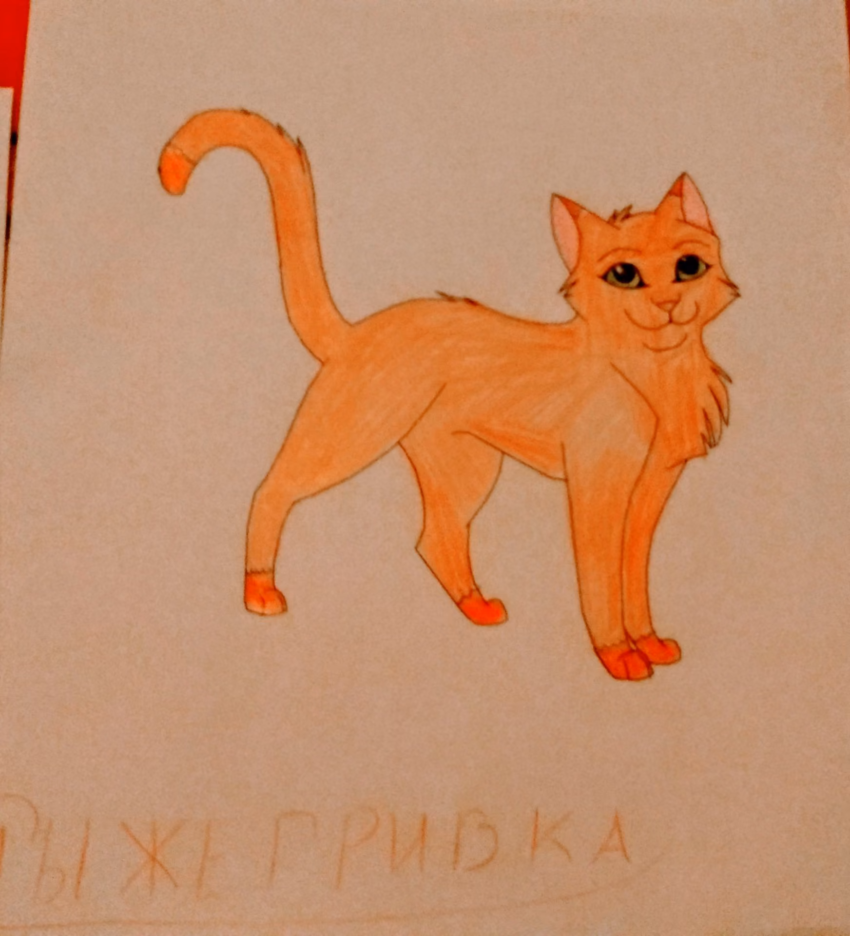 ad9031478adcf68d0169a9a7856415fa.jpg