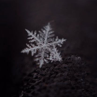 ad99a3835c4fe69feef556a843e7bc9c.jpg