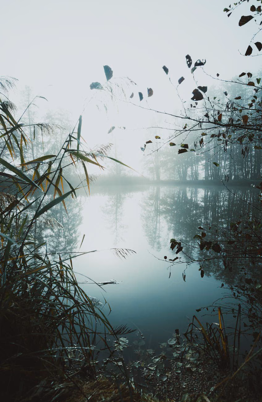 ad9d739f6a4ee0c0984aab1f8349b46e.avif