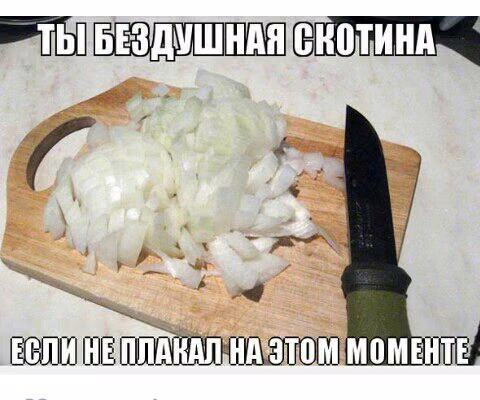 adbc17f94ef22ec8556ded2f173887df.jpg