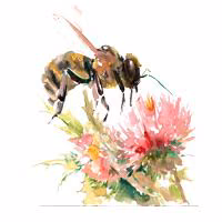 adc2d34ef4e7a5eee0e96face8125ff5.avif