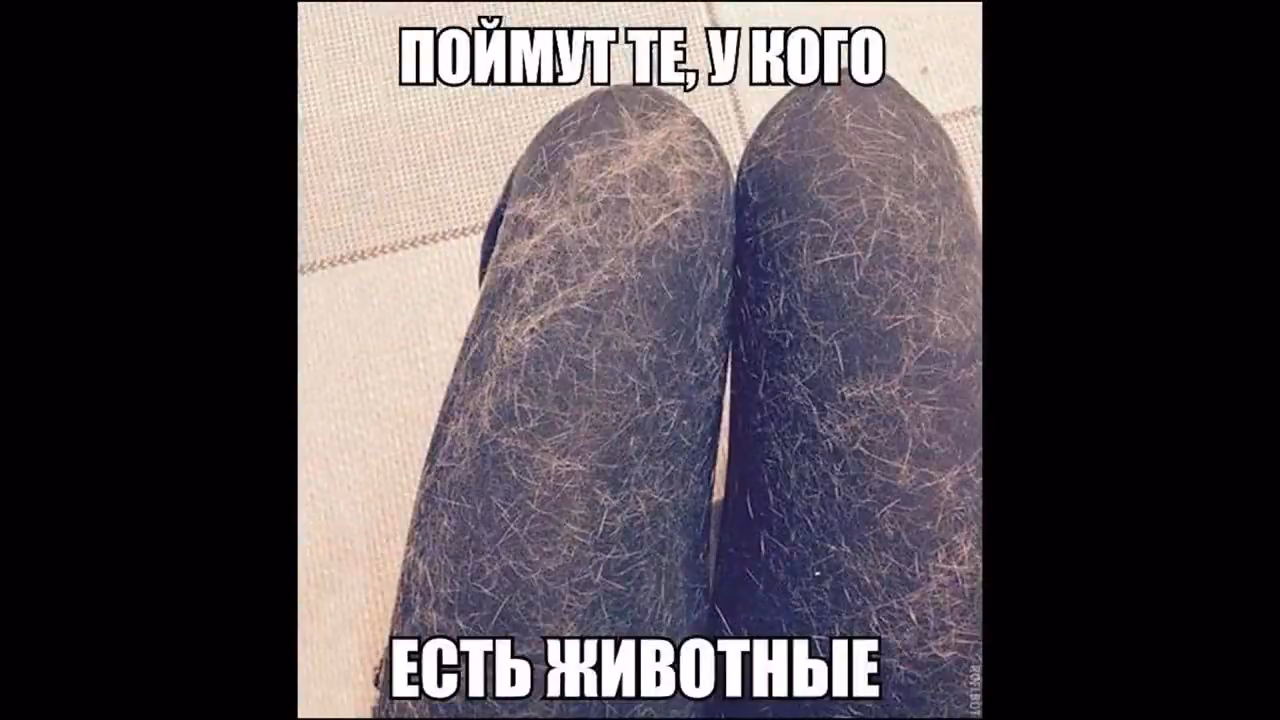 adca3fa912c11c10a405cdfaf4e6ce89.jpg