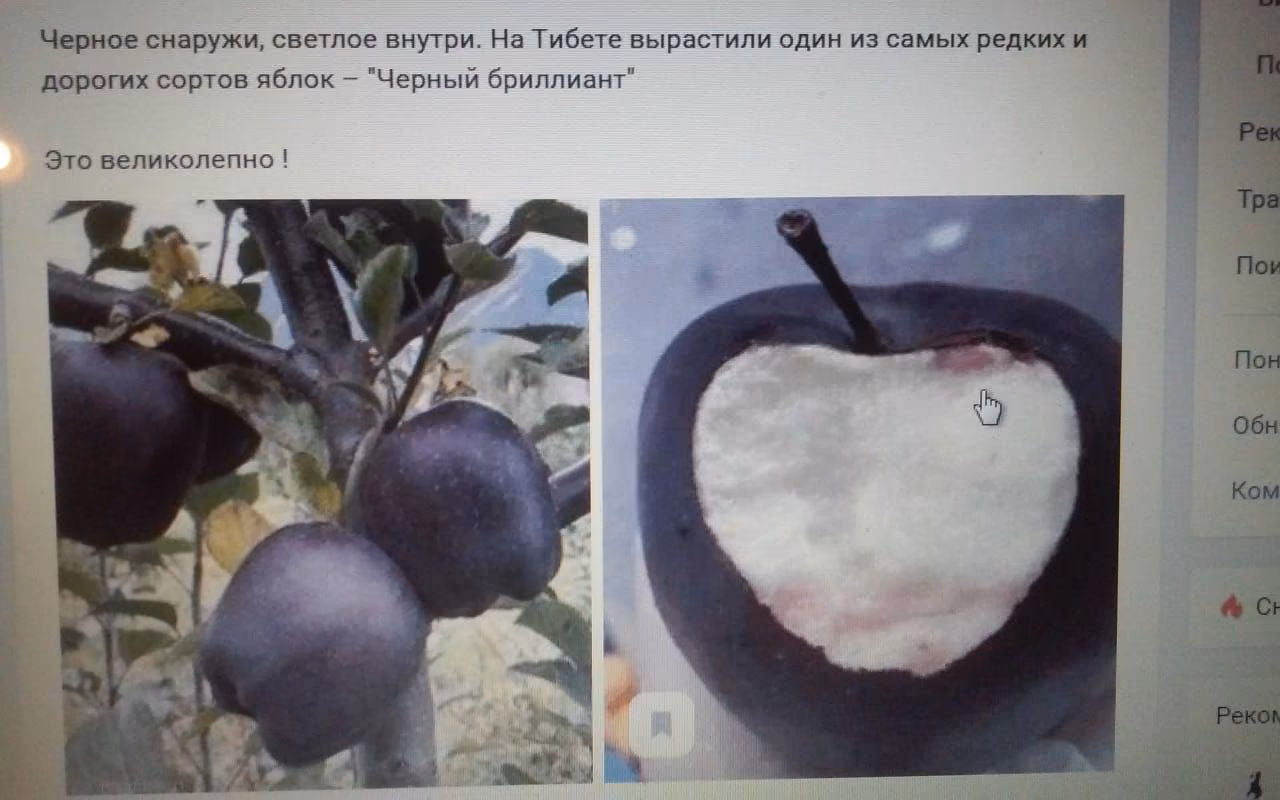 add04b4cc6208849bf11e9735849551b.jpg