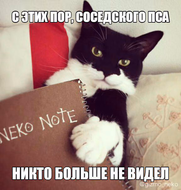 adec5d257dc6cc3bfa6725c197b934d5.jpg
