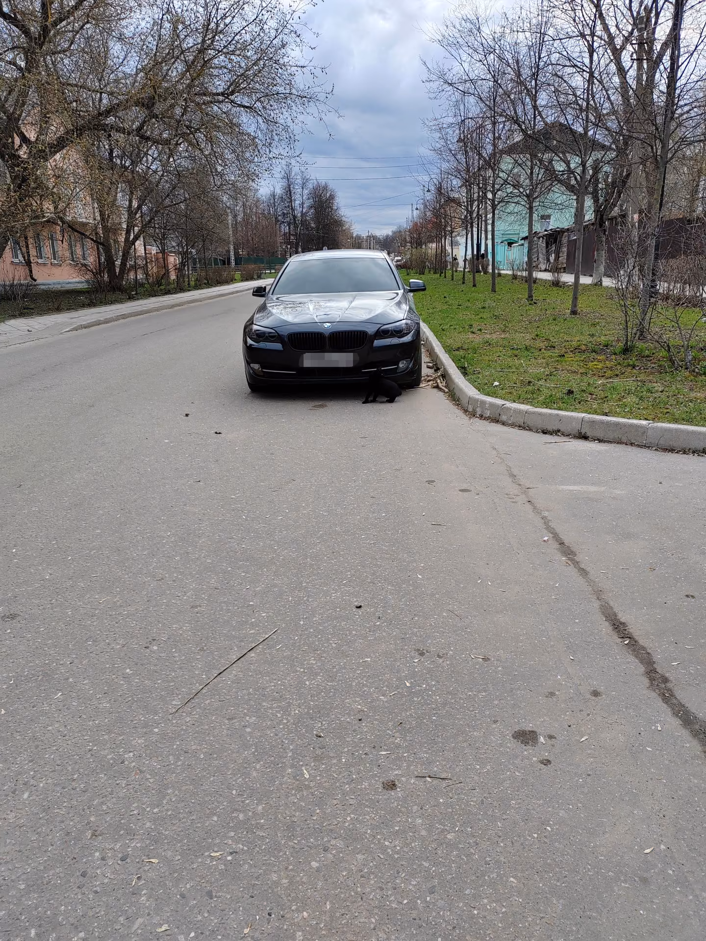 adfab4189022356db6e8510c0239c609.jpg