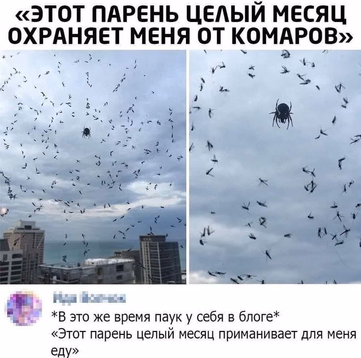 ae045c2c45ea17994b2e10cf8016b3ae.avif