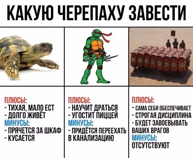 ae0cdb2ba5b87821b65ed2d1621f823c.avif