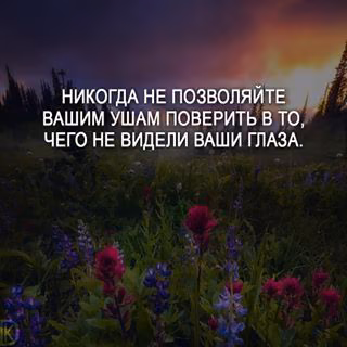 ae0dd6b438002fab432c567a4db923a2.jpg