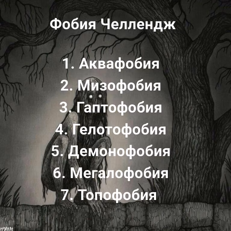 ae1c198474a4571826555ea026a52df6.avif