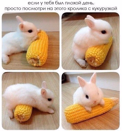 ae2c16b2f713dba6f517f5dcaac6d18c.avif