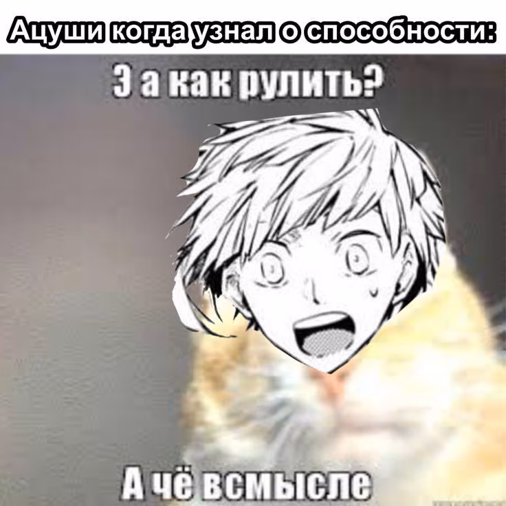 ae422e2137bdbe59e0d850ea38e2a76f.avif
