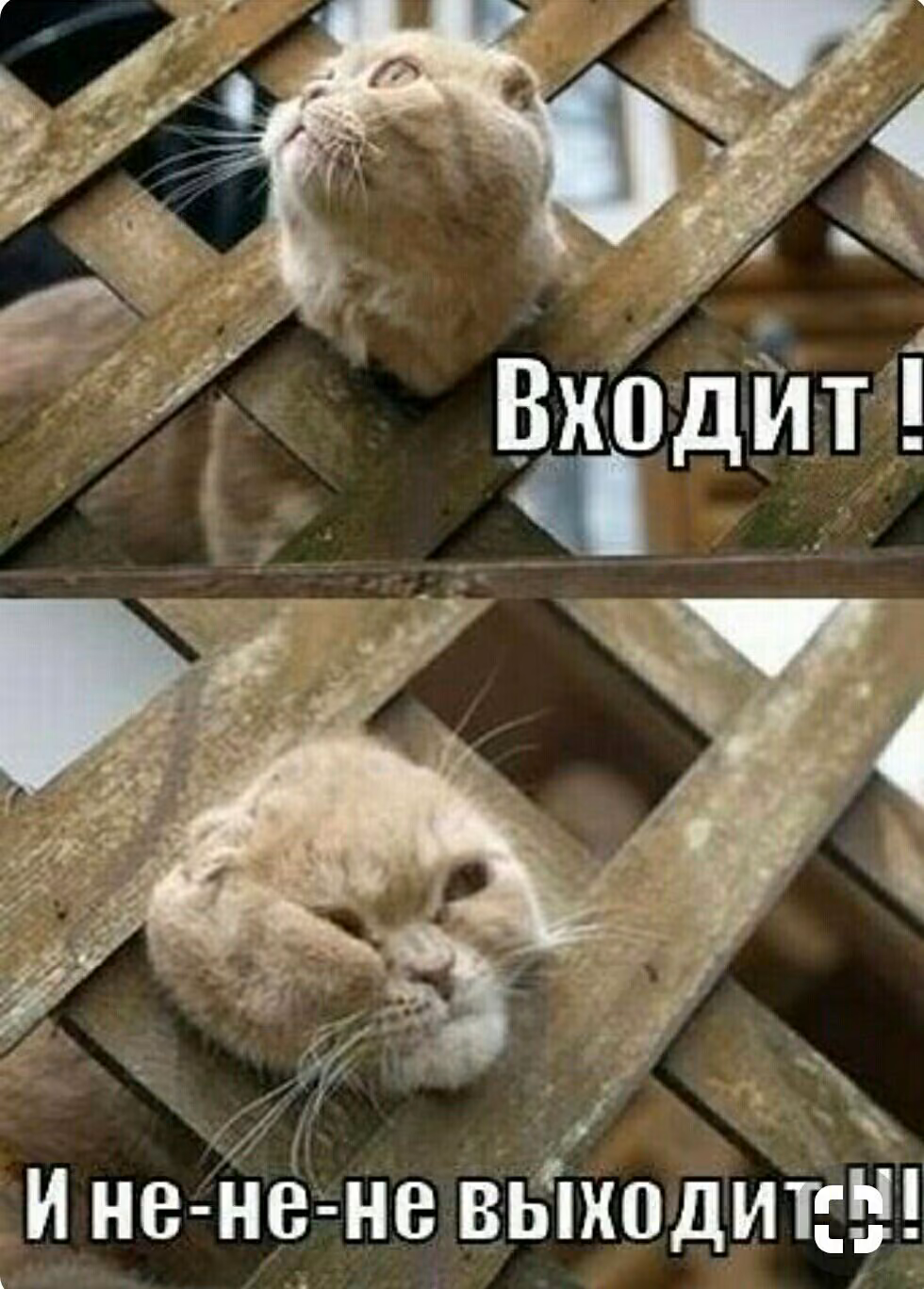 ae42f00e23c2bce0eb473dbe0fee17af.jpg