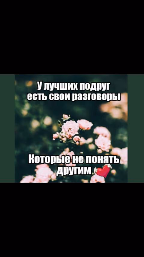 ae54c4b78753a5cabdd4d915c2661d7d.jpg
