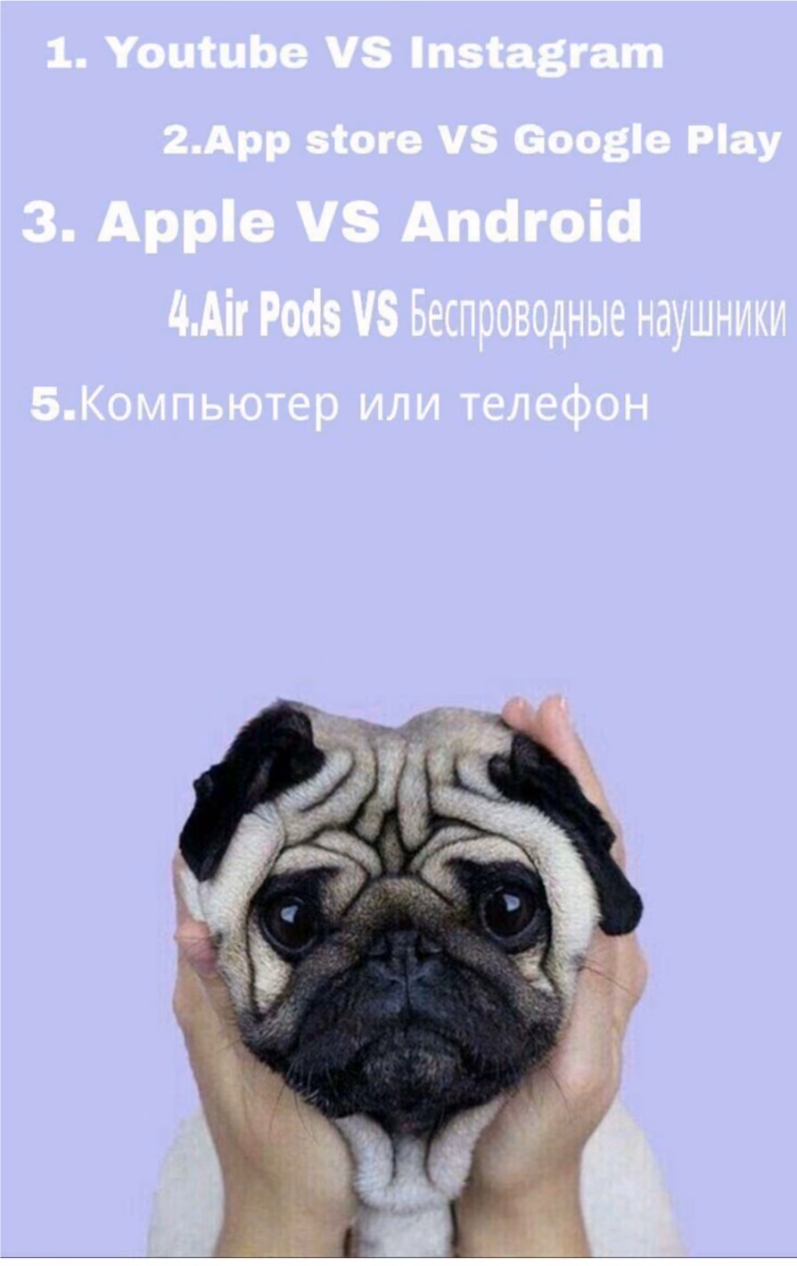 ae5b88fb193e1dcb607530a2395a89a8.jpg