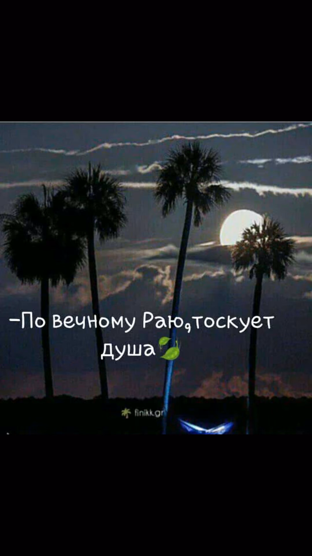 ae738abb6df792e0ff1a33060c93f0e1.jpg