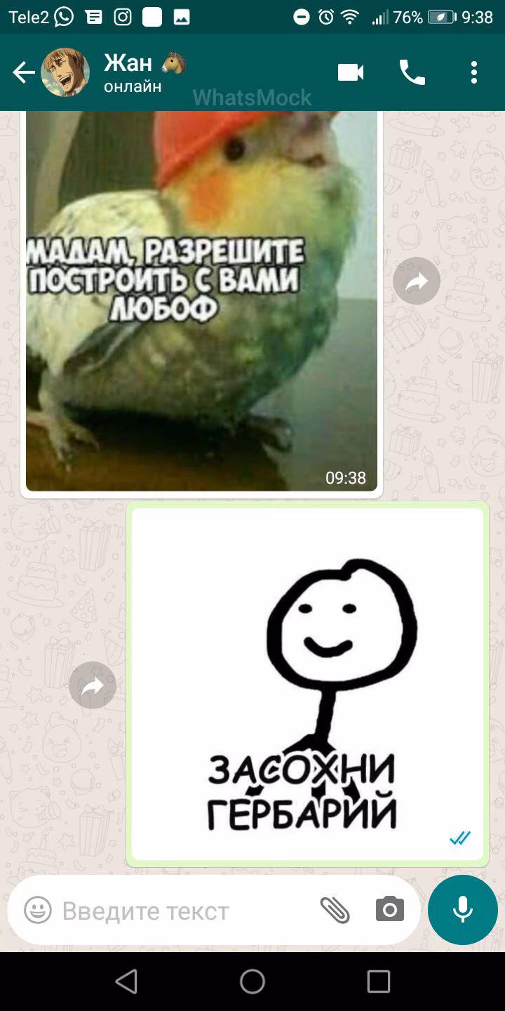 ae981f4655ab30de9e448b61d76bada5.jpg