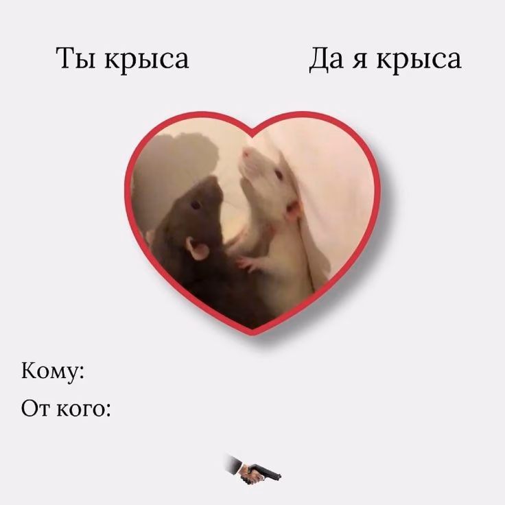 aea5fe71c3a33935f8052c81d213493a.jpg