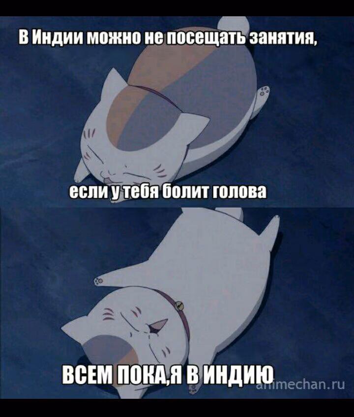 aea9fe390b35ab479d84656b1816c426.jpg
