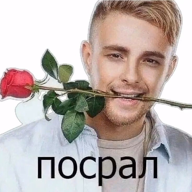 aeaf9605a7df9a5b8ab9216de01f9384.jpg