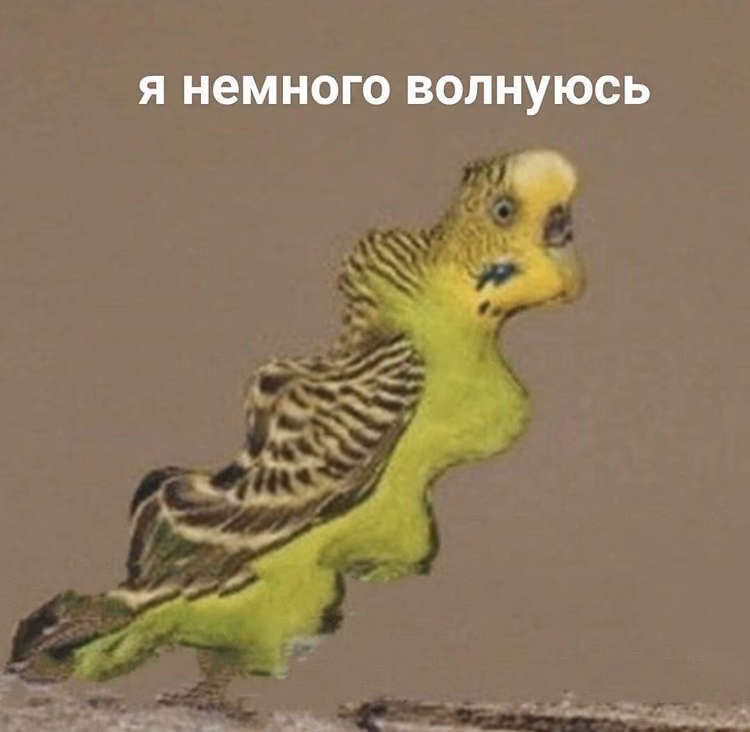 aeb4693d6512d7a2499240d73951b154.jpg