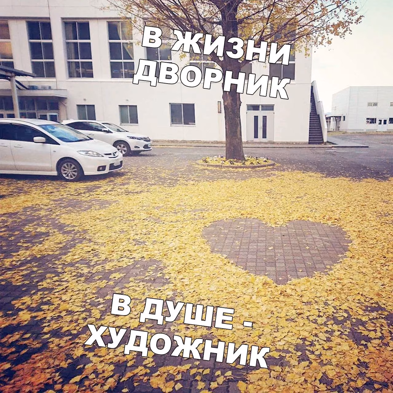 aec0b77edbc016e8e01badd5b4cc9ad6.jpg