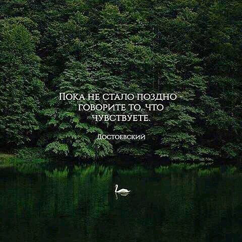 aec1de2bc4296625895b3c1b9a1ccd6d.jpg