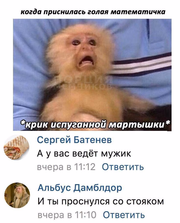 aee09c95761142f6b820c4c7319ecd18.avif
