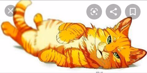 aee9bcf4c1c088300d65ecf7e9d062c1.avif
