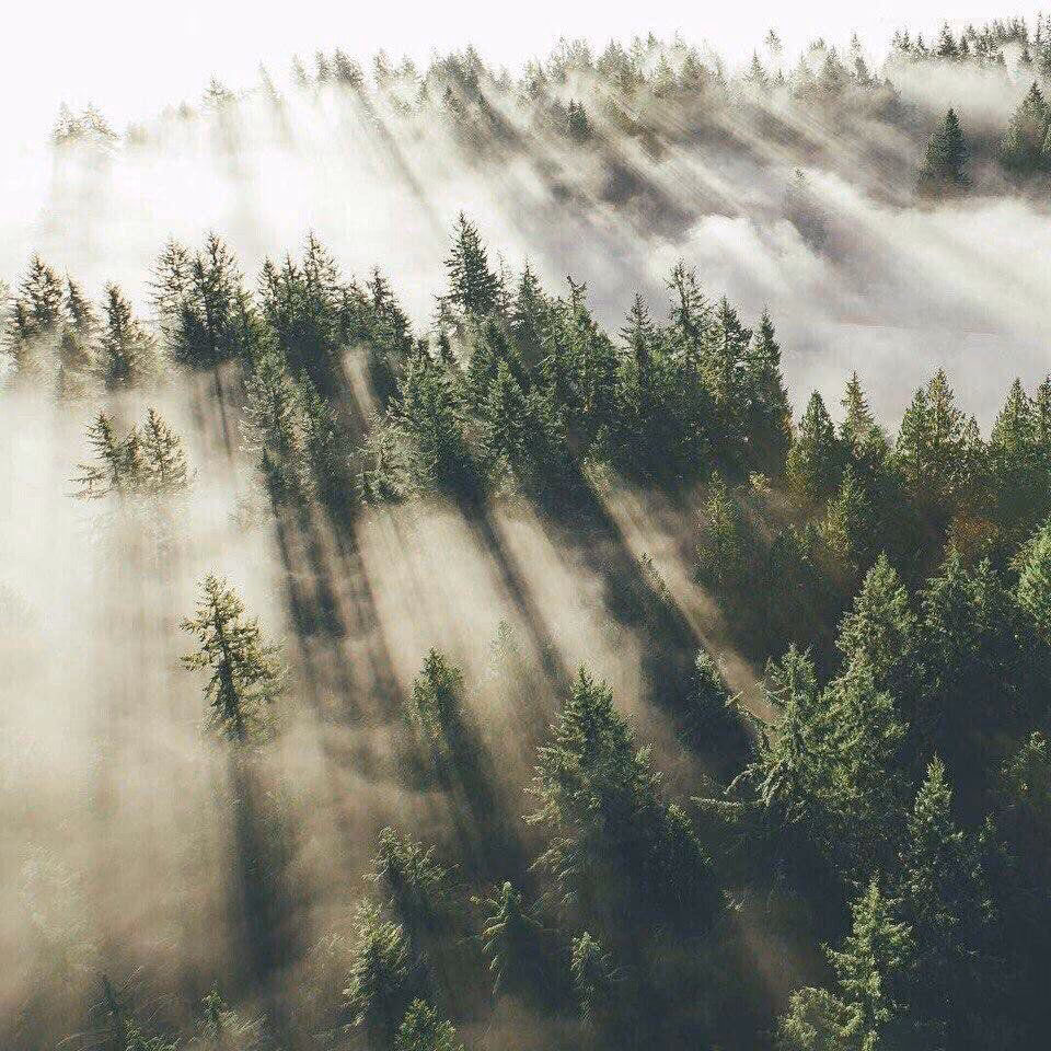 af1e7d0448f69274d11de9bb69151f78.avif